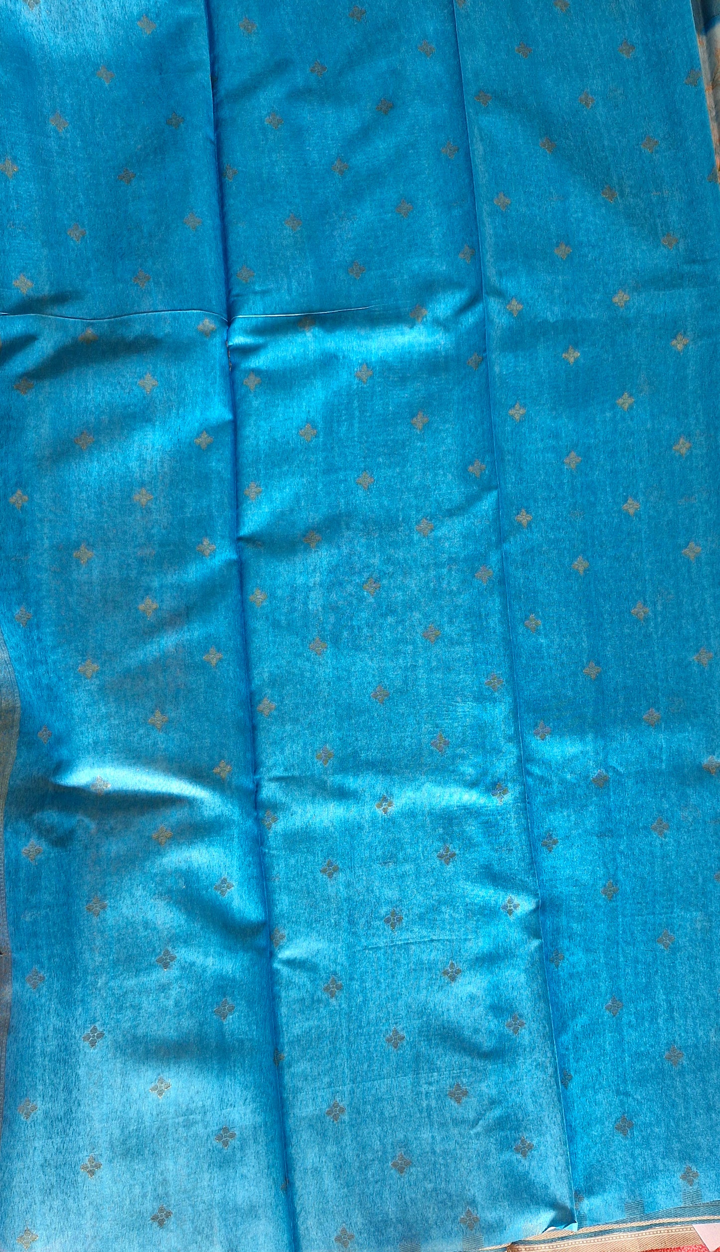 TURQUIOSE GREEN ORGANZA SAREE
